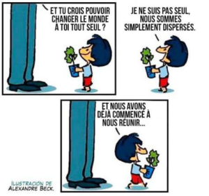 mafalda